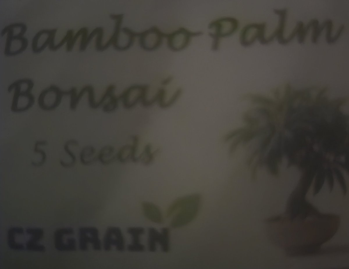 Cyber Hornets tweet media