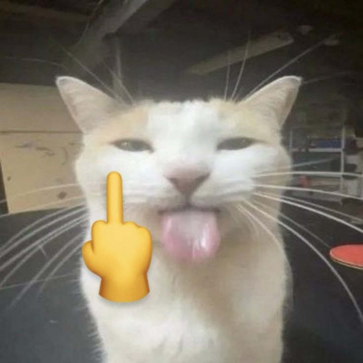 bibi (@satzmiw) on Twitter photo 