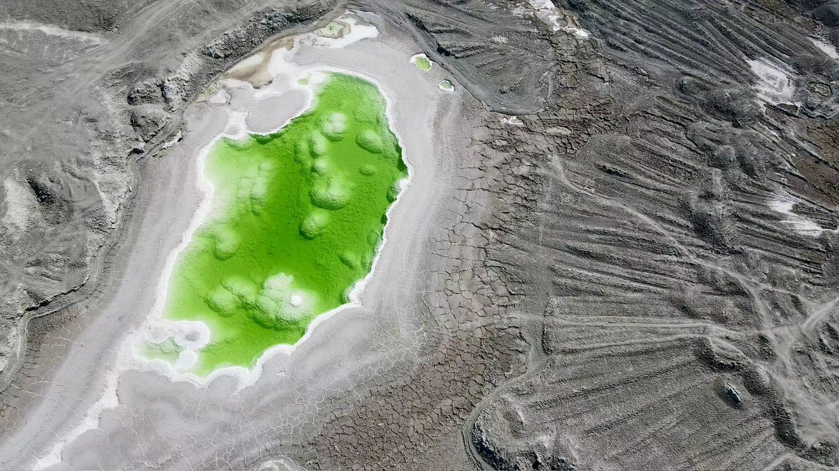 ourplayandart's tweet photo. A #reservoir of green
nurtures the hope of spring 🌱💚
#vss365
#February
#love
#simplelines https://t.co/yyEYmvKZyU