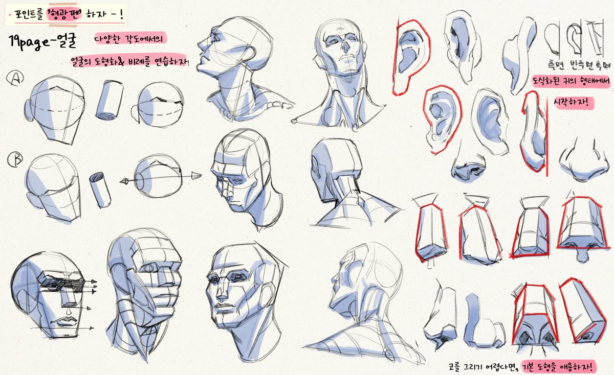 Anatomy study - !! 📝📝!! 
