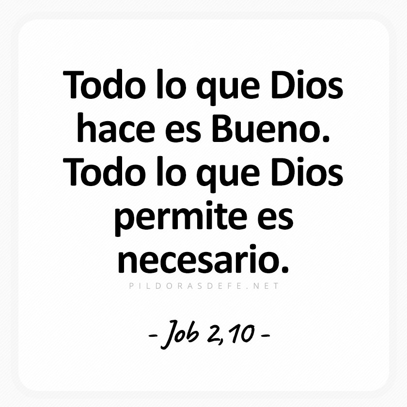 Pildorasdefe's tweet photo. https://t.co/D3jK7TUGjL