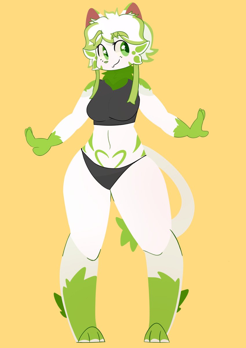 I'm sorry for the inactivity :,3 an order that they asked me for on FB