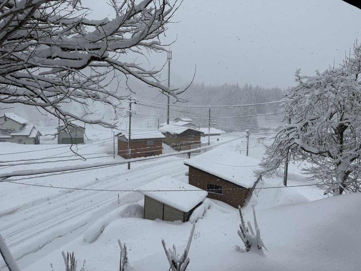 アイリ、今日大雪じゃなかったら、僕はねラーメンを食べに行くつもりだったんだ、高速片道2時間かけて 