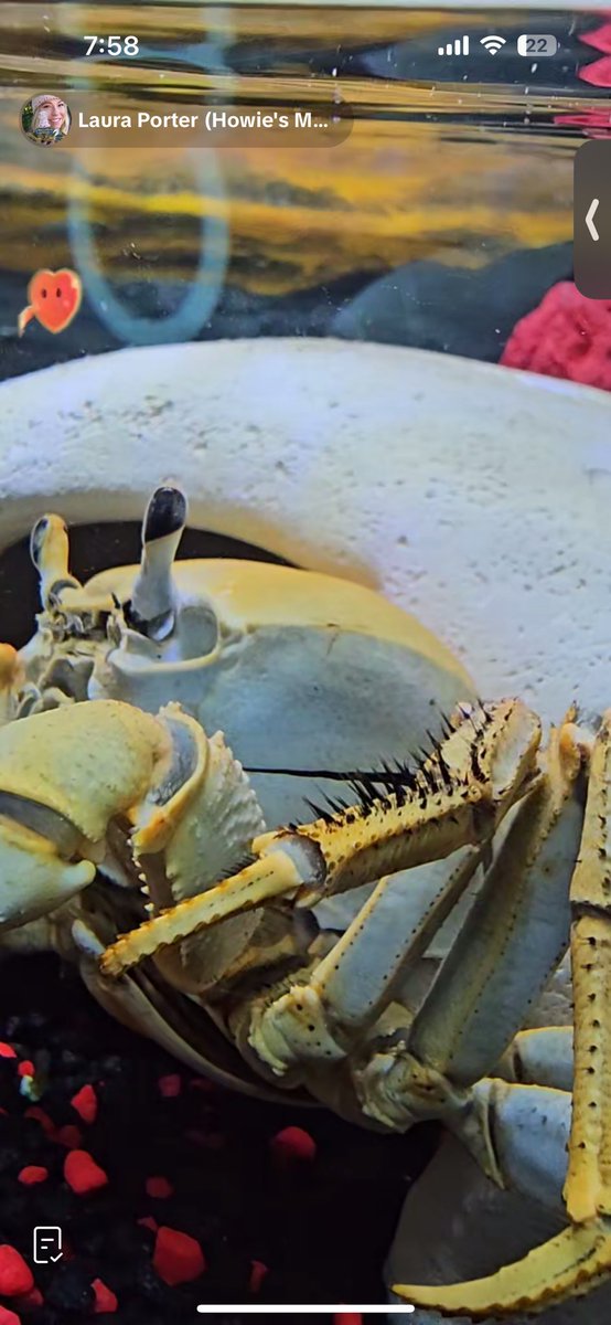 𝘮𝘢𝘳𝘺𝘬𝘢𝘵𝘦 ☁️ tweet media