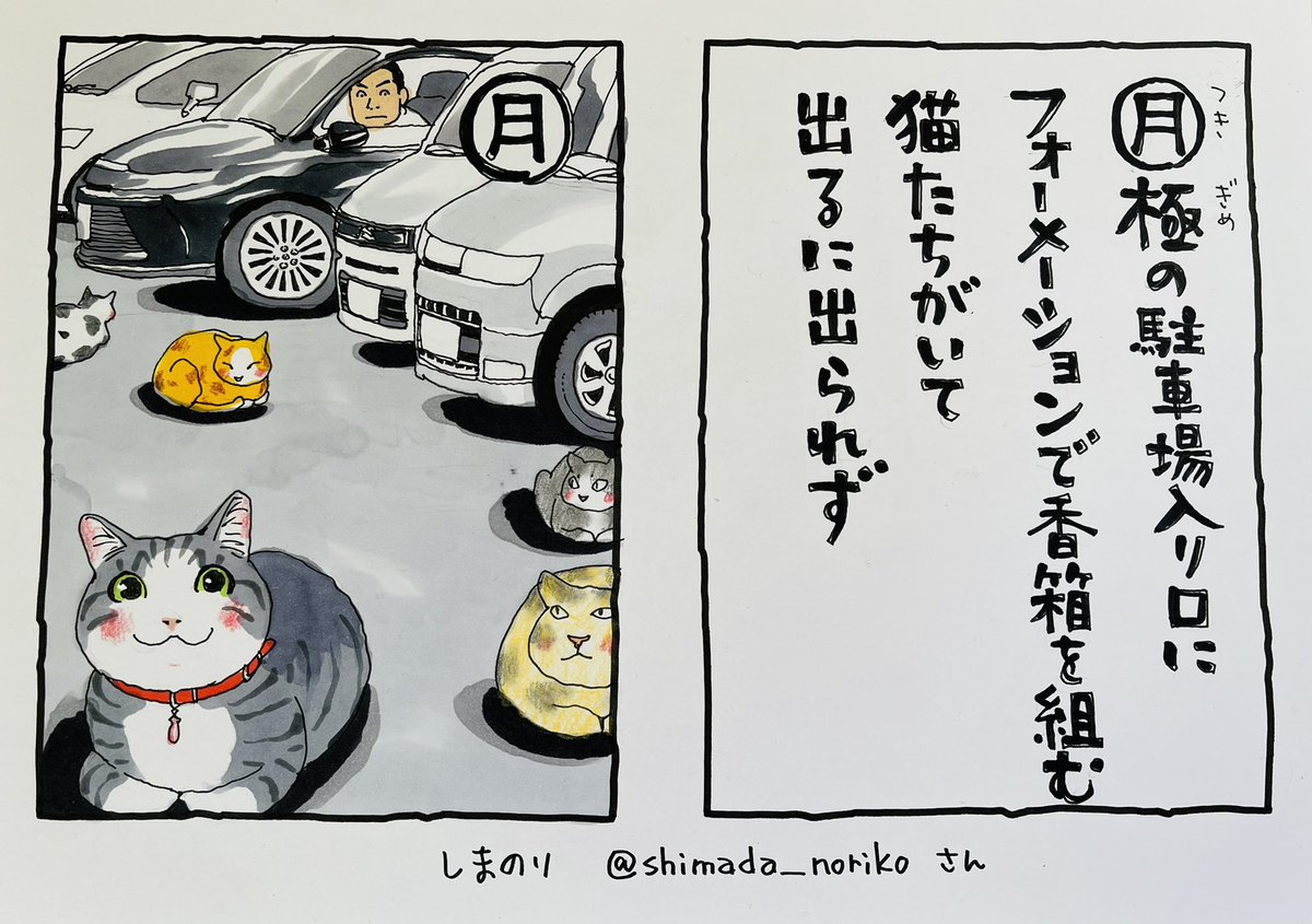 起きた人、おはよう
寝る人、おやすみ〜
今朝も冷えましたね
雪予報が多くて、、おつかれさまです。
#夜廻り猫カルタ
しまのり@shimada_noriko さんの句
ありがとうございます!
平気で日向ぼっこの猫たちが見えるようです^^
猫たちも、人間の皆様も
ご無事で!
