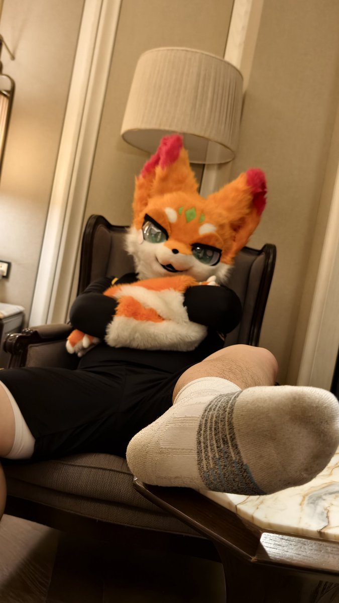 做白日梦的秋 tweet media