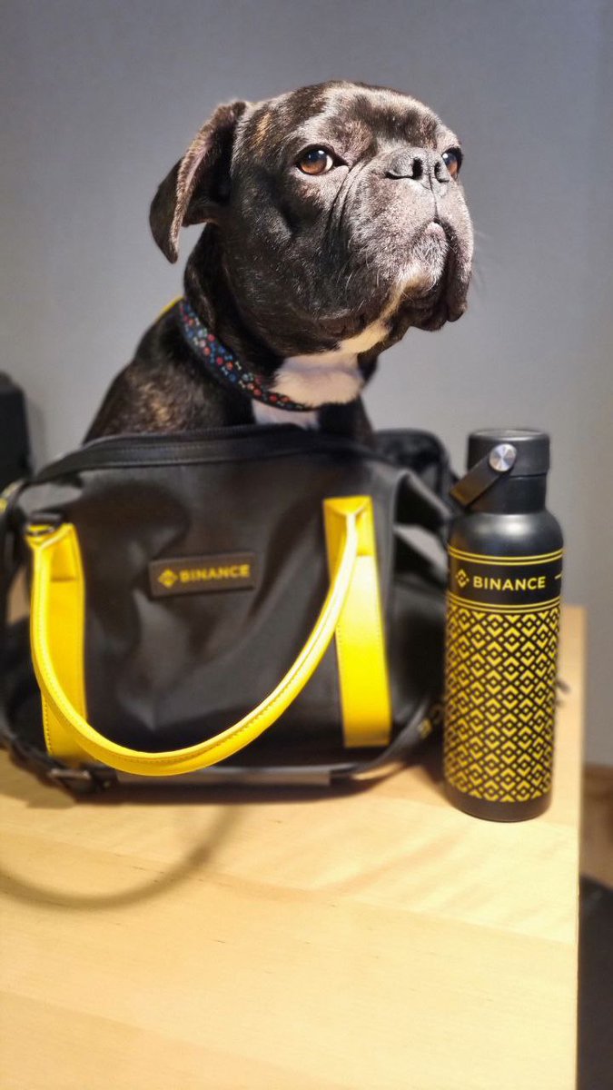Conquering the crypto world with #Binance , one paw at a time!
