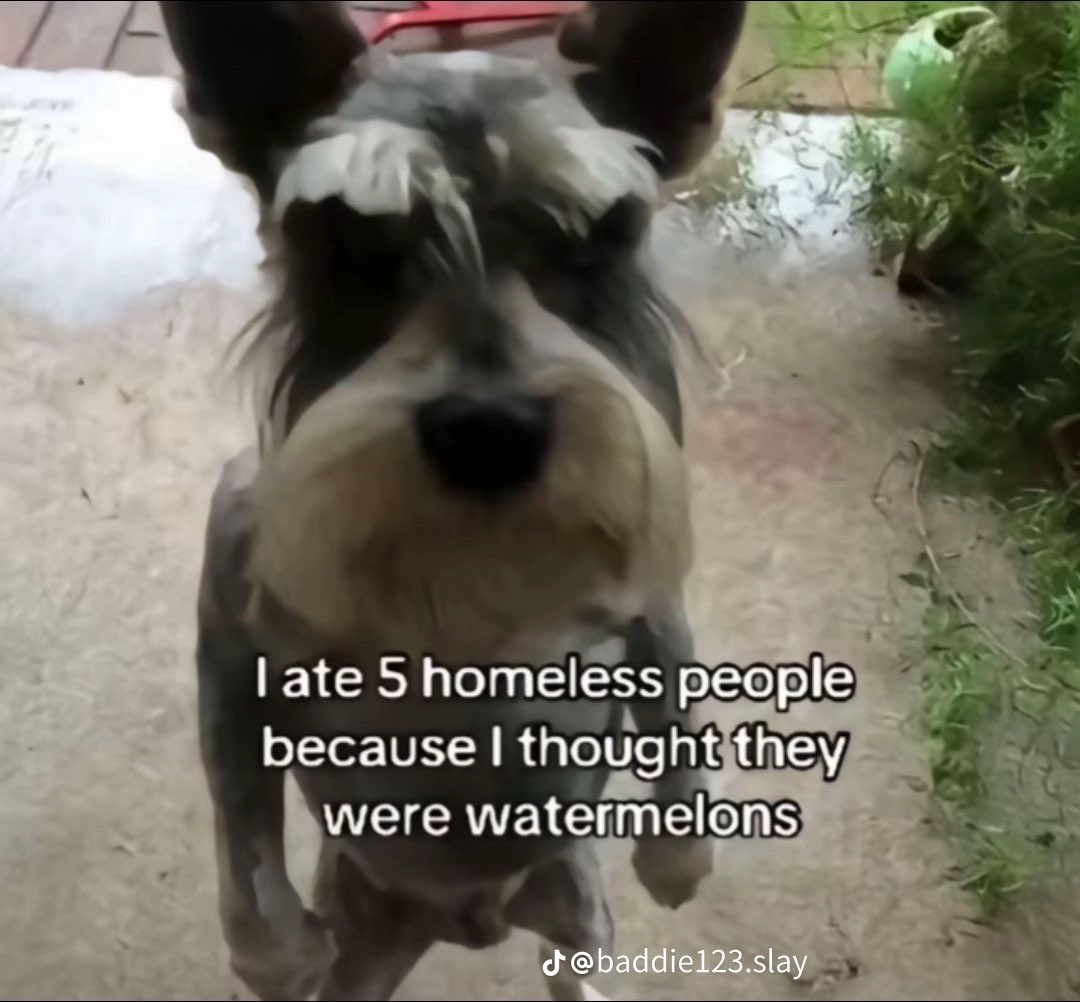 SPOGGLES (@IAMSPOGGLES) / Posts / X