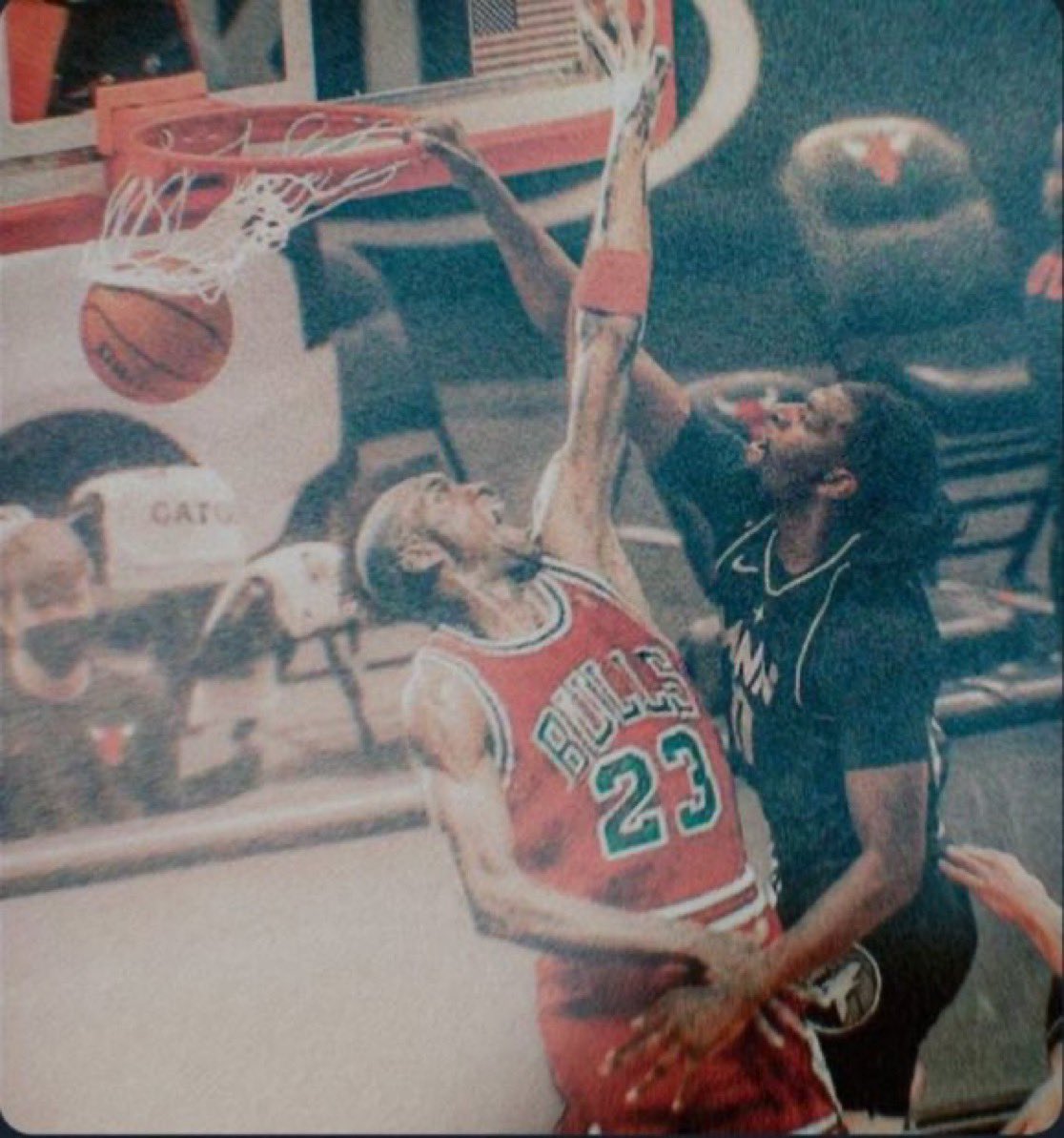 🇦🇺 | 🐺 tweet media