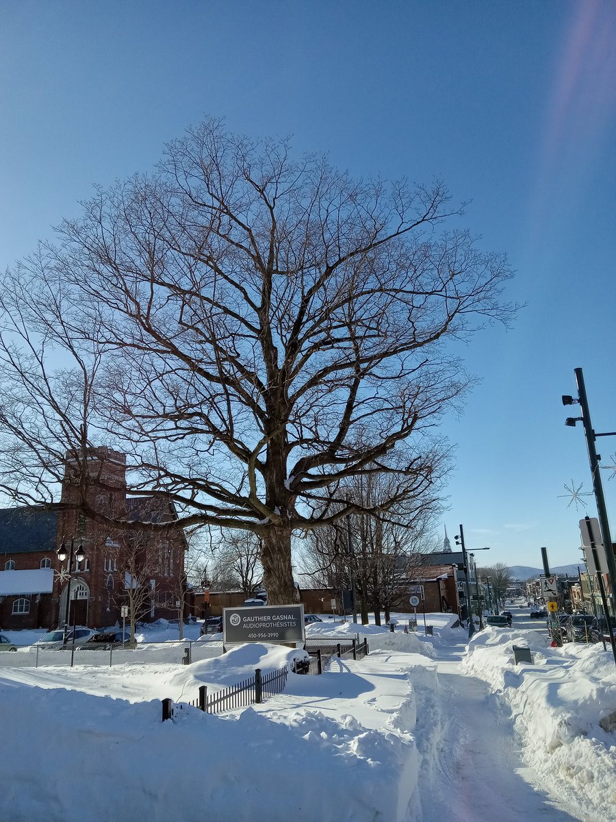 Eastern Townships, plus Winter