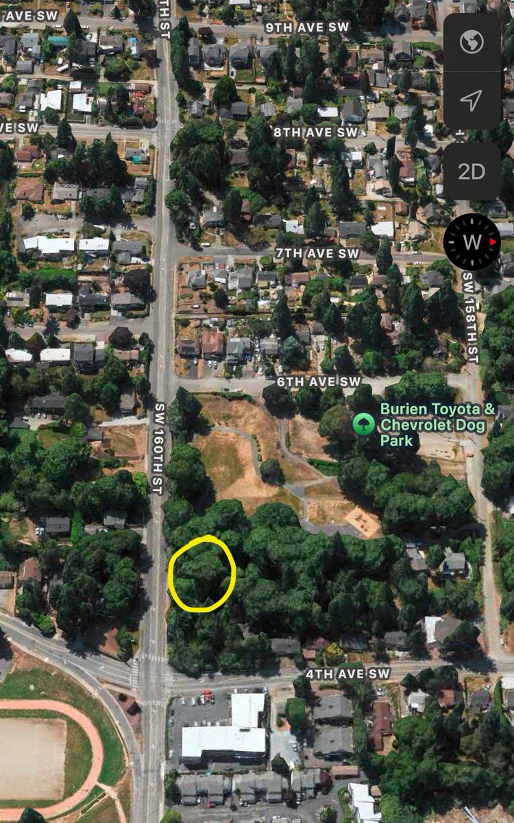 Stephanie Mora tweet media