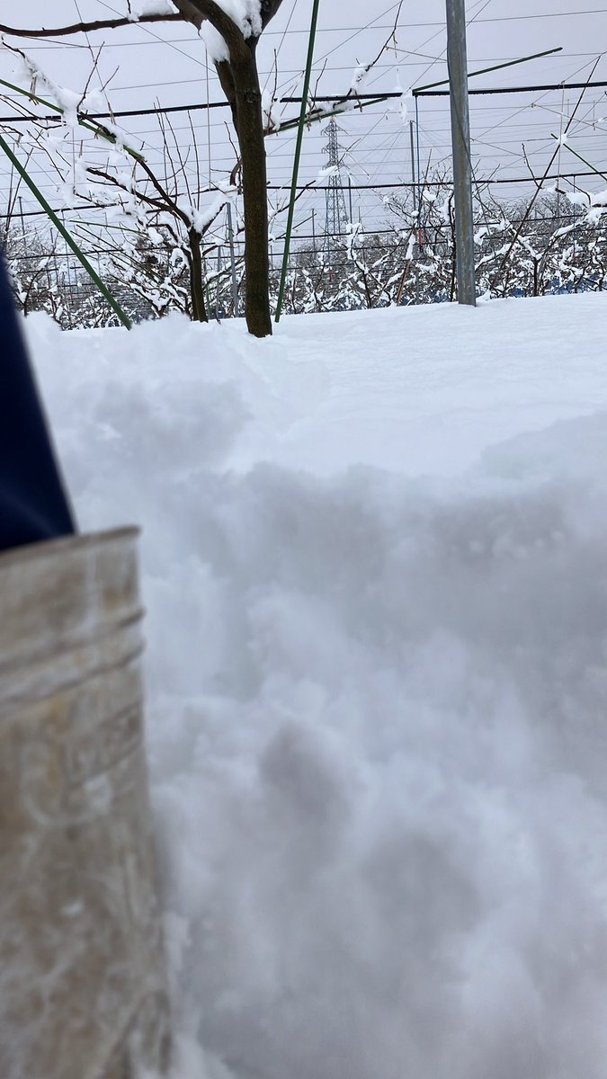 0619Ca's tweet photo. 圧倒的雪中行軍 https://t.co/uIjuduLjlt
