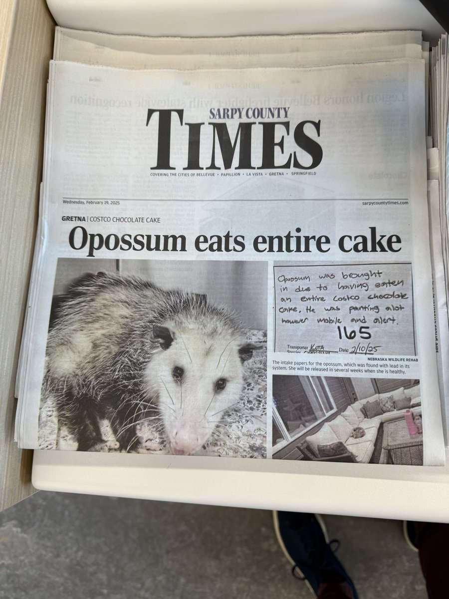 _BryceJohnson's tweet image. 🚨🚨🚨Breaking news 🚨🚨🚨