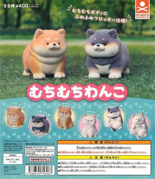 あちゃこわんこ(о´∀`о)