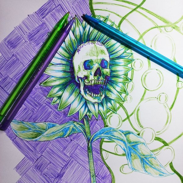 aethergasm's tweet image. Doodling with ballpoint pens today. No thoughts just coping. 

#ballpointpenart #doodle #skullart #sunflower #handdrawn #art #ArtistsOnTwitter