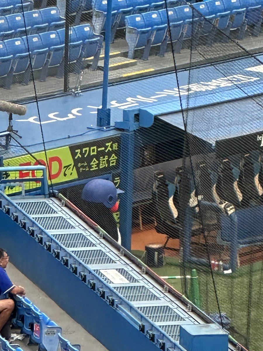 ayumin914's tweet photo. あたしが初めて目視でつば九郎を見た日
今年は沢山会えると思ってたのに…
でもずっと大好き
みんなつらいけどえみふる https://t.co/m3betlgnmL
