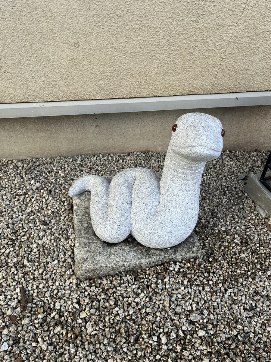 本日2/20 混雑がだいぶ落ち着いてきました 白蛇さんたちも、心なしか