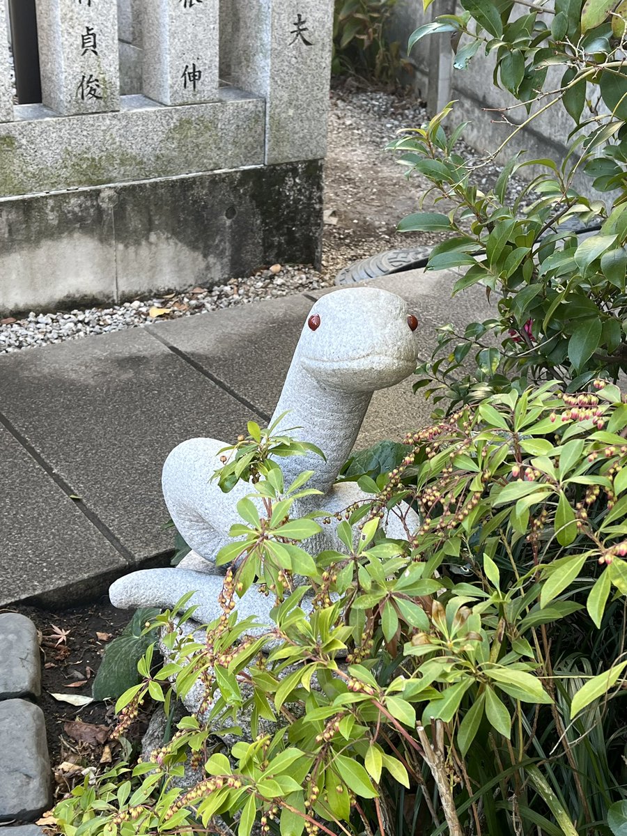 本日2/20 混雑がだいぶ落ち着いてきました 白蛇さんたちも、心なしか