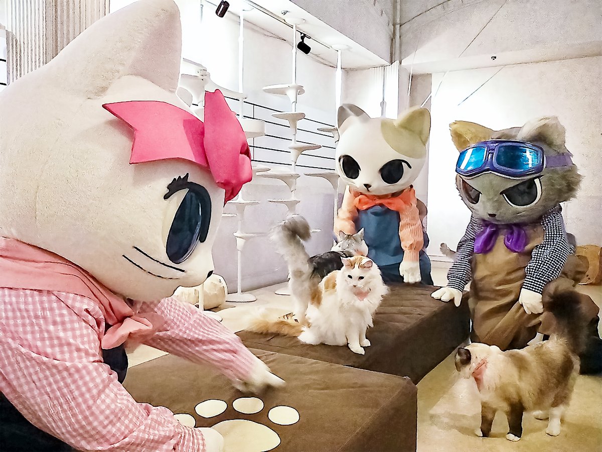 2月22日は猫の日！ ナジャヴたちがニャンジャタウンに遊びに行く
