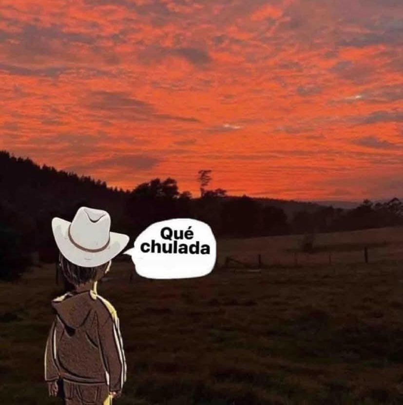 Yo cada que veo un atardecer: