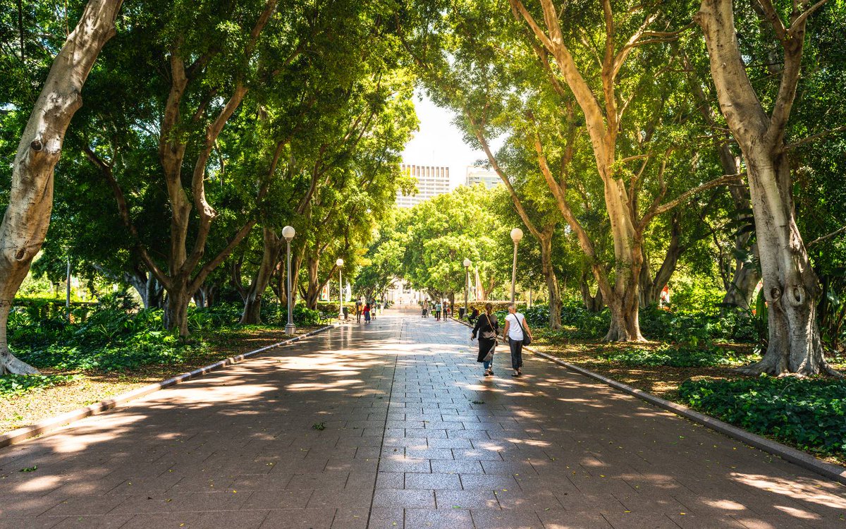wsaa_water's tweet photo. @wsaa_water  is pleased to share our submission to the NSW Draft Recycled Water Roadmap to @DCCEEW. We support the intent of the Roadmap and  vision for furthering recycled water for non-drinking and purified recycled water for drinking plans in #NSW.
📩 https://t.co/6YDW3LFn4m https://t.co/LVn2Gb7TOZ