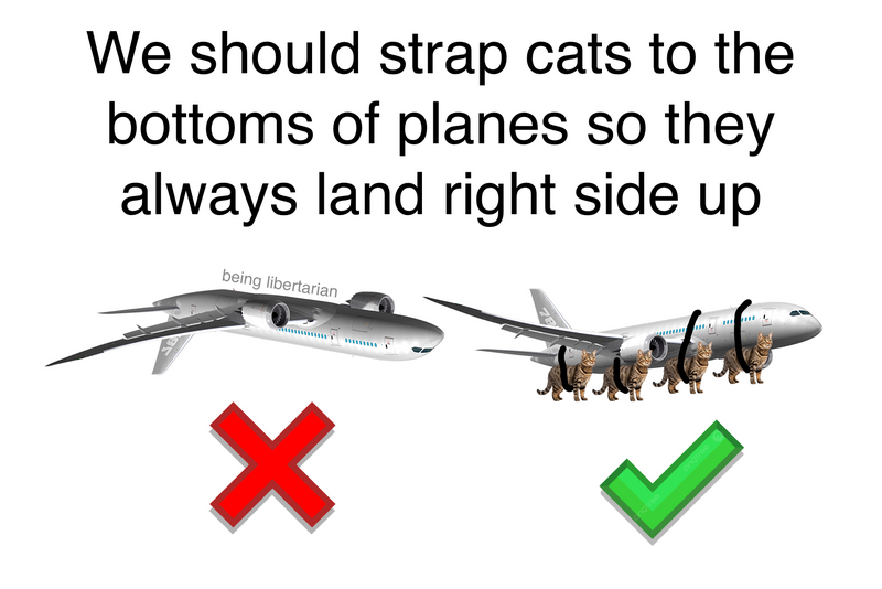 causticbob's tweet photo. my solution to the delta airlines crash

#Caturday https://t.co/mIrOZkbRfe