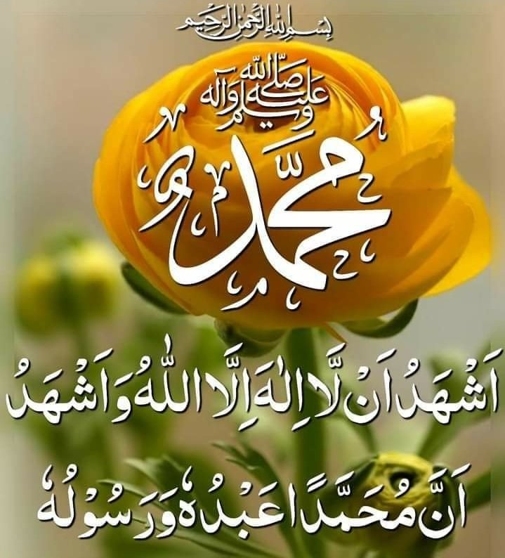 Hina khanzadi2 tweet media