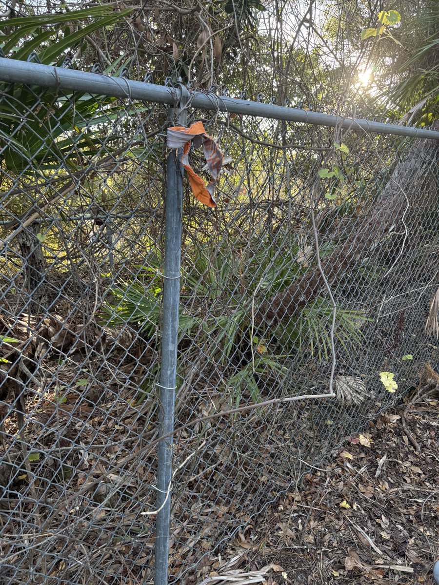 Ethan B. (@bigdethanb) on Twitter photo New Dropbox Video uploaded!* DM me for new content or requests. In the meantime, enjoy my dork of a friend Jake, getting strung up on a public park’s fence, just waiting to be seen and embarrassed by someone walking by😂😈 <a href="/JakeXOwens/">wedgie boy 😈</a> New Dropbox Video uploaded!* DM me for new content or requests. In the meantime, enjoy my dork of a friend Jake, getting strung up on a public park’s fence, just waiting to be seen and embarrassed by someone walking by😂😈 <a href="/JakeXOwens/">wedgie boy 😈</a>