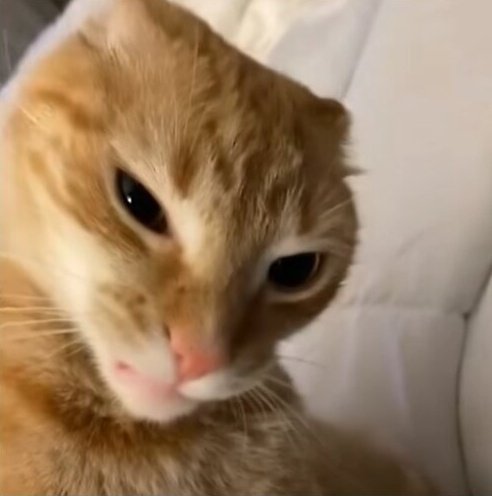 Vickymorales40's tweet photo. Llegando a mi casita 
Me cruzo un chico con un nene y me dice no te veo tan cansada, te queres llevar a mi hijo? 
Me reí y le dije naa 
Y me responde, no te veo tan cansada, te veo echa pelota jaja
Desgraciado https://t.co/ir1uDiTtyw