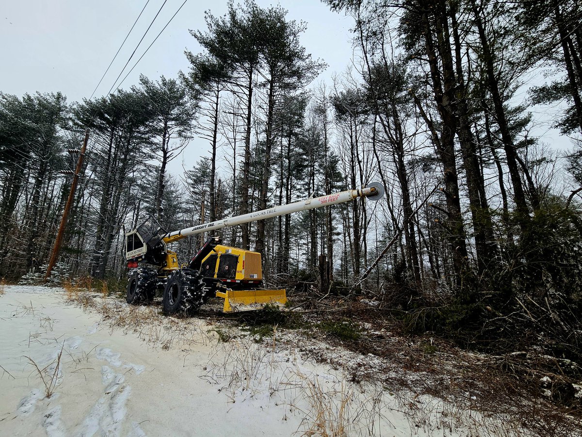 Line Clearance in Virginia #lineclearence #jarraff #trimming #humpday @Jarraff <a href="/Prinothusa/">Prinoth</a>
