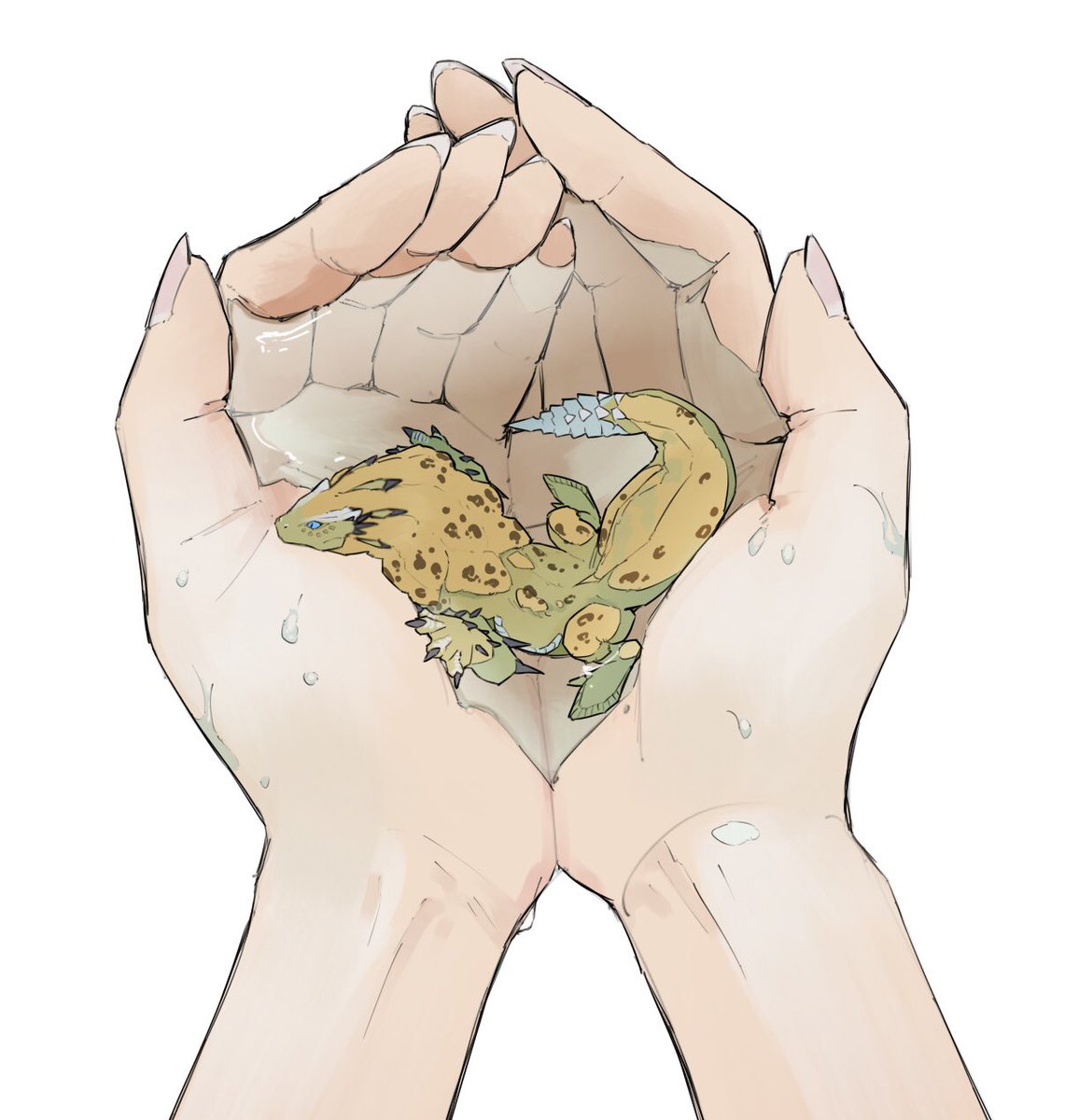 taneimo_drop's tweet image. スポンジミズトカゲ