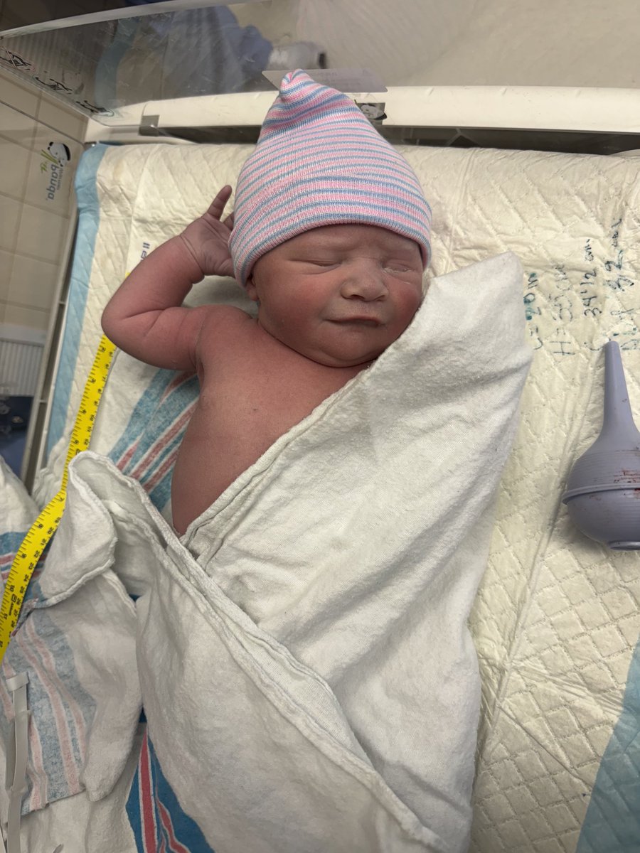 Brian VanGorder (@coachbvg_ahs) on Twitter photo #6 Grandchild, Ms. Larkin VanGorder! Being a Grandpa (Opa) is truly one of the highlights of life! Feel so lucky & blessed!! Congrats Gummy & Haley!! #6 Grandchild, Ms. Larkin VanGorder! Being a Grandpa (Opa) is truly one of the highlights of life! Feel so lucky & blessed!! Congrats Gummy & Haley!!