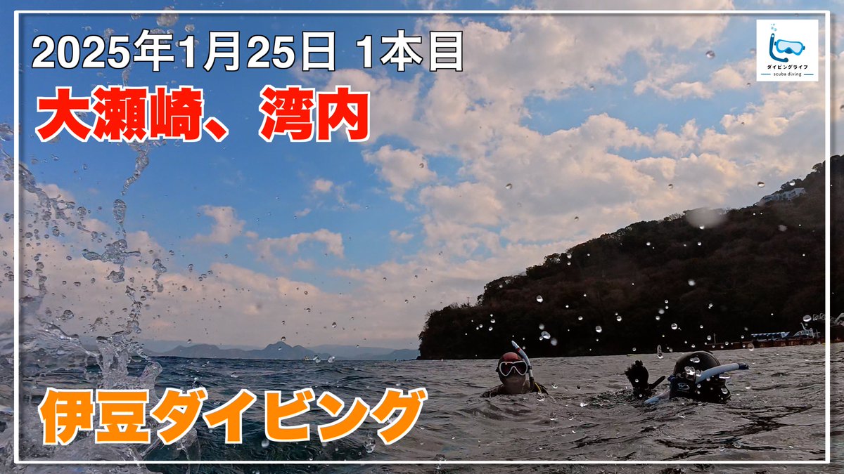 pac_captain2020's tweet photo. 伊豆の大瀬崎（湾内）へダイビングしに行ってきました
フリー潜行からエキジットまでを短くまとめてみました！

冬の大瀬崎の湾内をフリー潜行からエキジットまで【伊豆ダイビング/スキューバダイビングvlog】
https://t.co/fYU53hE1E2

#ダイビング #ダイビング好きと繋がりたい #scuba #diving https://t.co/RAYSTi8BJt