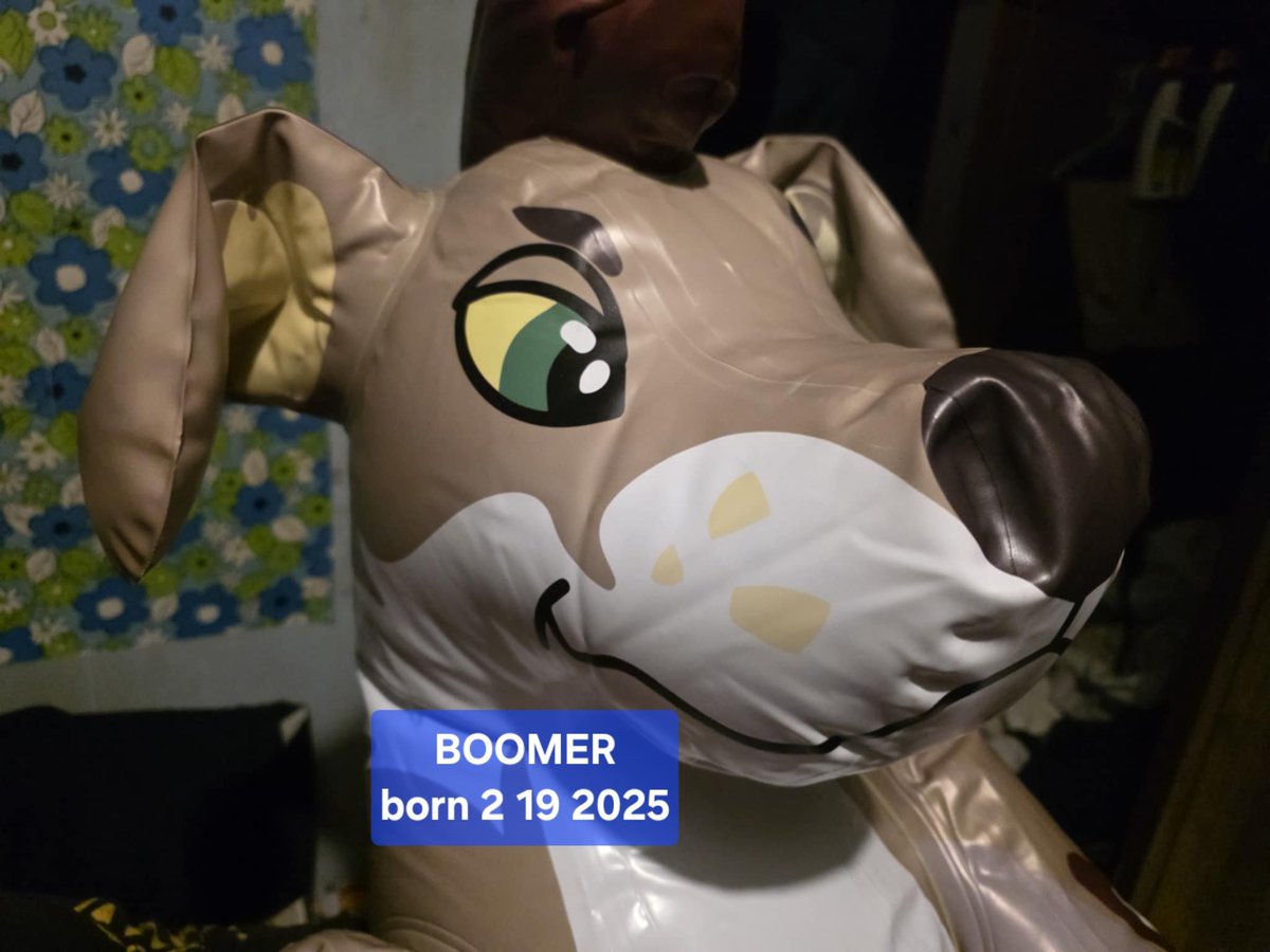 Donutseads's tweet image. Say Hi to our newest family member, Boomer