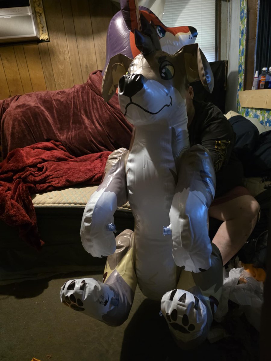 Donutseads's tweet image. Say Hi to our newest family member, Boomer