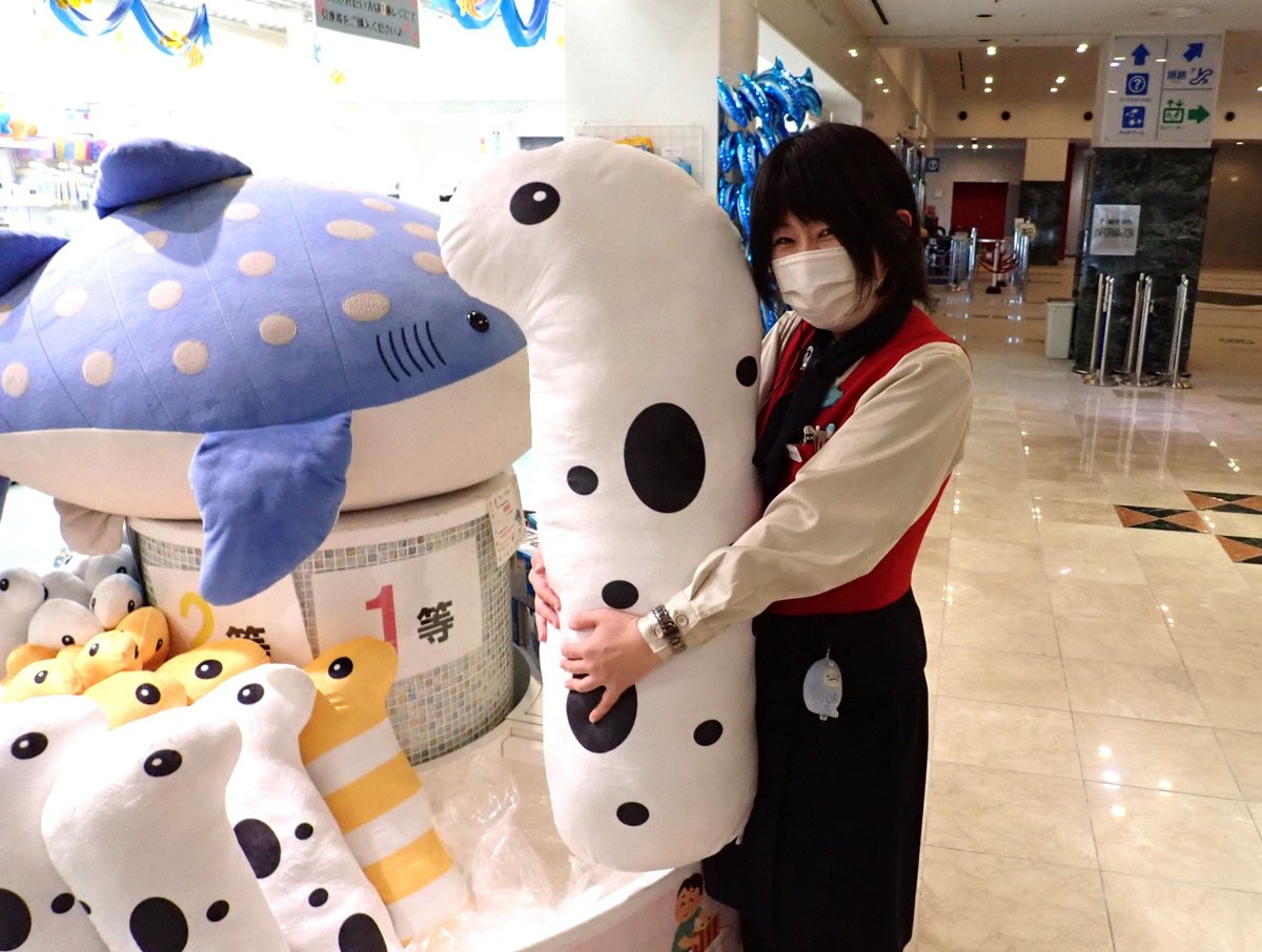 動物　ぬいぐるみくじ　6品セット Amazon.co.jp: クジラぬいぐるみセット BB FUNHOUSE 6パック