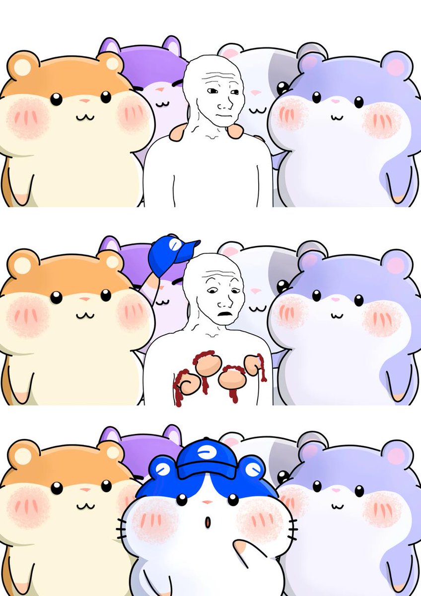 hamsters are for everyone