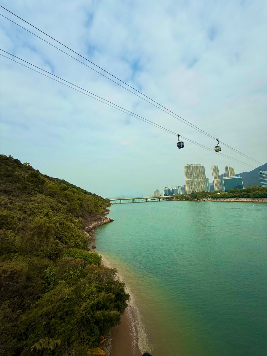 meari0201's tweet photo. 香港🇭🇰自然とふれあって気候が気持ちよかった🌱このマカオ式のエッグタルトが本当においしくてすき！ https://t.co/snrEF6lgaQ