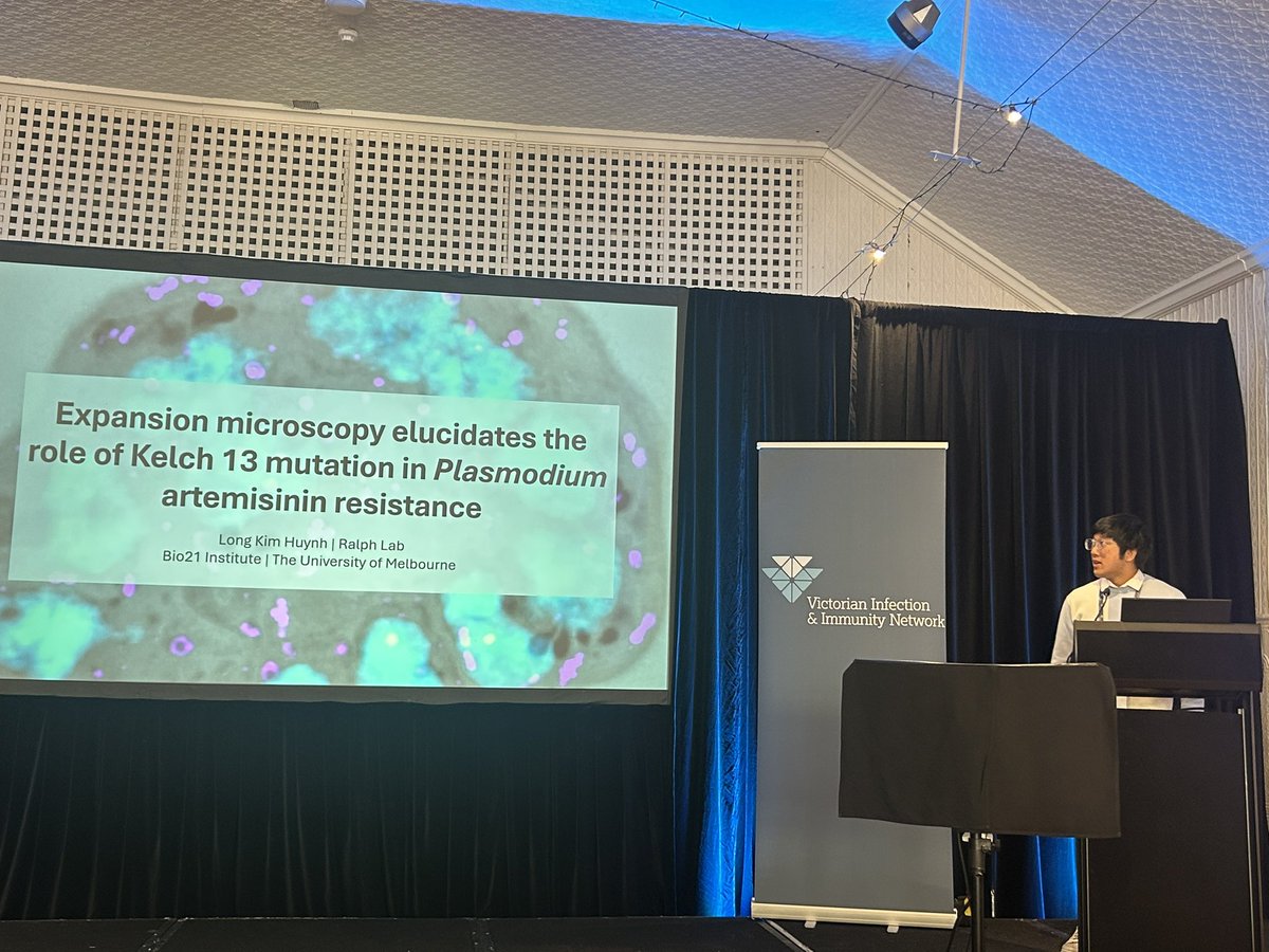 sturalph's tweet image. Well done @lkhuynh_ on a schmick presentation of his work on artemisinin resistance in malaria parasites at the Lorne infection and immunity meeting. Beautiful imaging! @The_VIIN #Lorneiandi