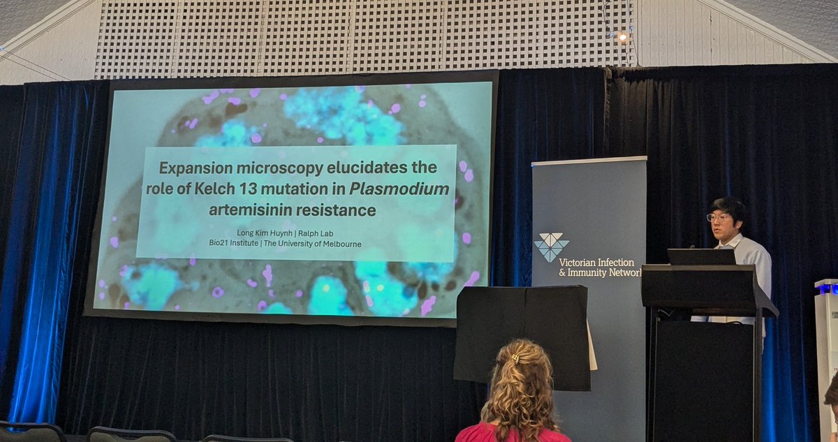 VIIN (@the_viin) on Twitter photo Terrific presentation from Long K Huynh on how expansion microscopy elucidates the role of Kelch 13 mutation in Plasmodium artemisinin resistance <a href="/Bio21Institute/">Bio21 Institute</a> <a href="/unimelb/">University of Melbourne</a> #lorneiandi Terrific presentation from Long K Huynh on how expansion microscopy elucidates the role of Kelch 13 mutation in Plasmodium artemisinin resistance <a href="/Bio21Institute/">Bio21 Institute</a> <a href="/unimelb/">University of Melbourne</a> #lorneiandi