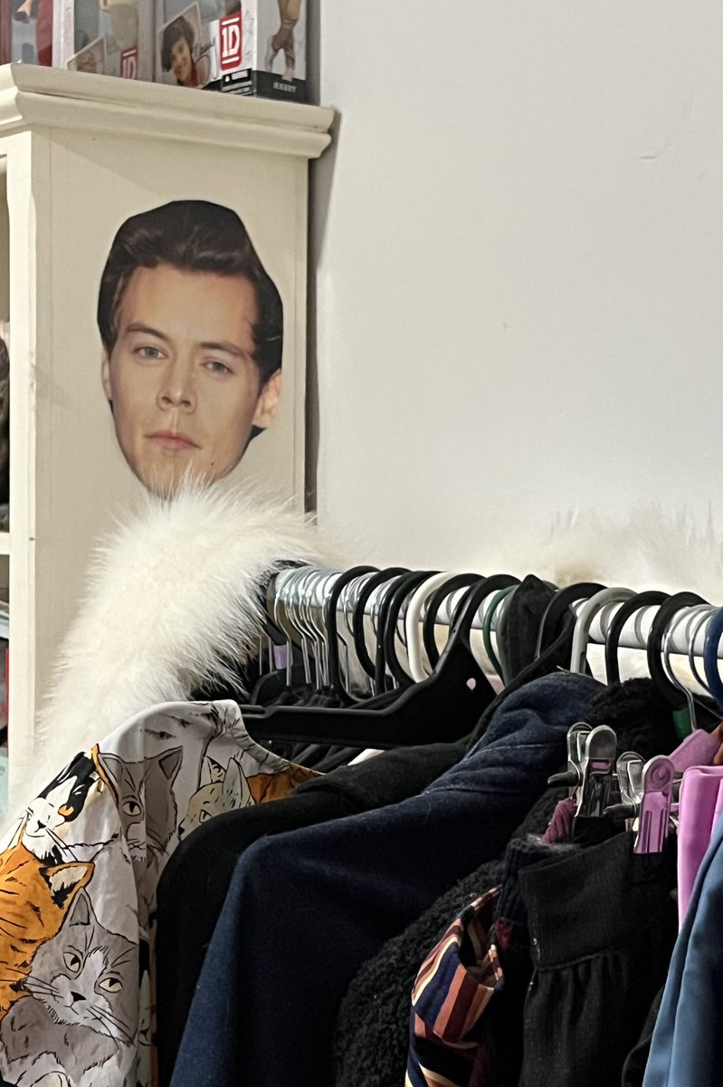 Who is this diva? 

* I put my fake fur shawl on my clothing rack and when I walked past again I noticed that it looks like Harry’s wearing it 😂*