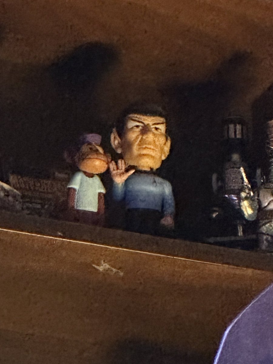 I felt a logical presence looking down upon me.
#startrek #funko