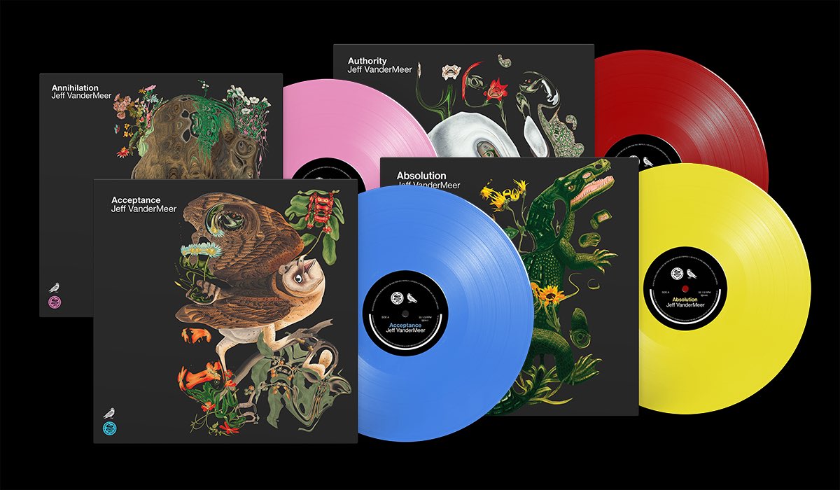 Rare Bird tweet media