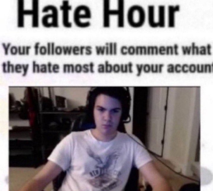 Sven the cat tweet media