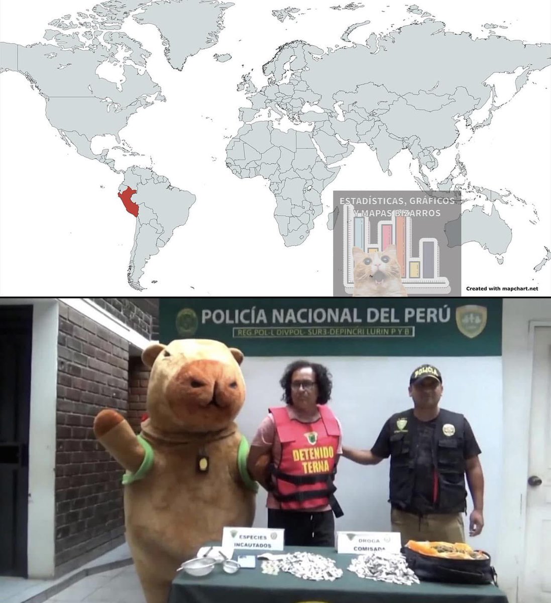 Países en los que un policía se ha disfrazado de capibara para arrestar a un narco en 2025.