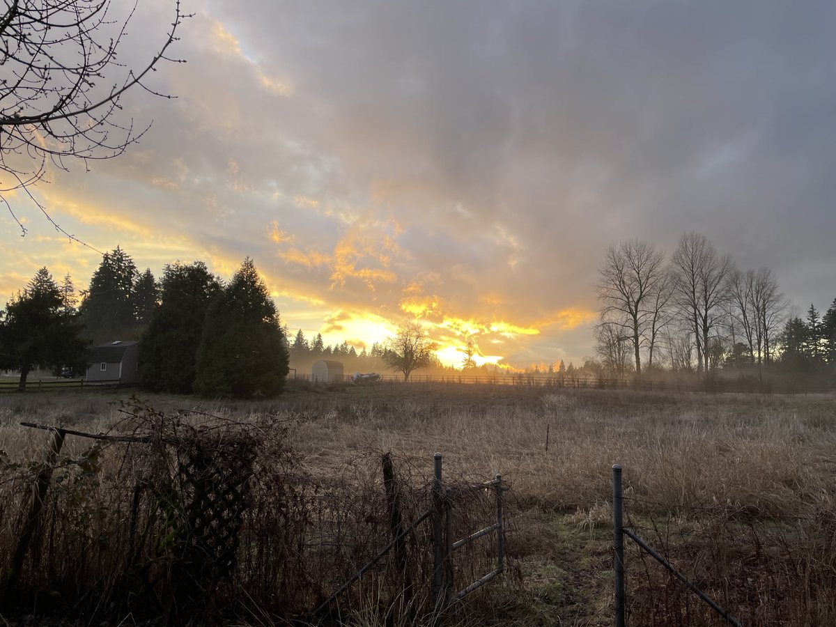 Tonight’s sunset. Spring is-a-cumen-in 😀