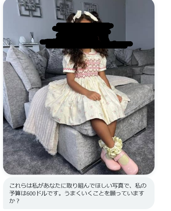 surumelock's tweet photo. 【注意喚起】もしあなたがイラストレーター・漫画家で怪しい外国人垢から「コミッションは募集しているか？」「私の娘の絵を600ドルで描いてくれ」「取引はWISEでするから今すぐ登録してくれ」などのＤＭが来たら新手の振り込み詐欺ですので絶対に反応しないようにしましょう