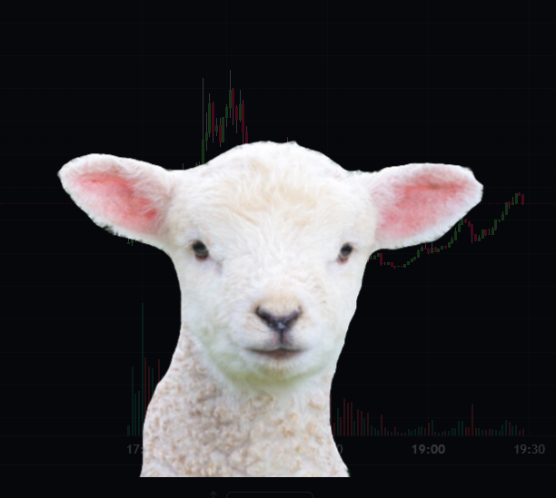 NitrousTerriers's tweet photo. #SOLANANEEDSALAMB
#BAAAA
#LAMBILLION
$LAMB
@LAMBILLIONARE 
Cm4CGaHeHGwnrXm6nruHnBFVXB3Loo1TUeuYp6uKpump https://t.co/hRjKWsJaHY