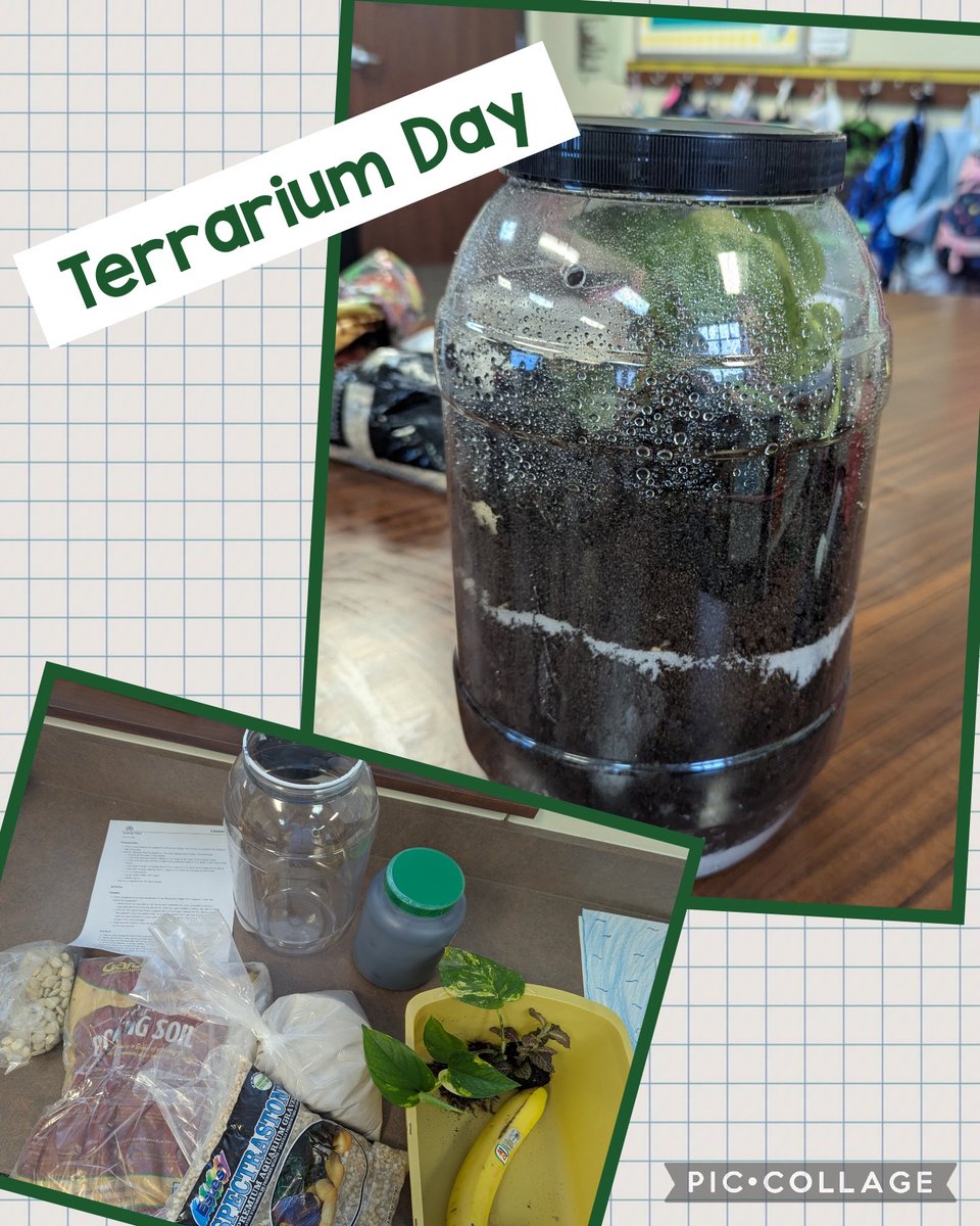 Kelly Moore tweet media