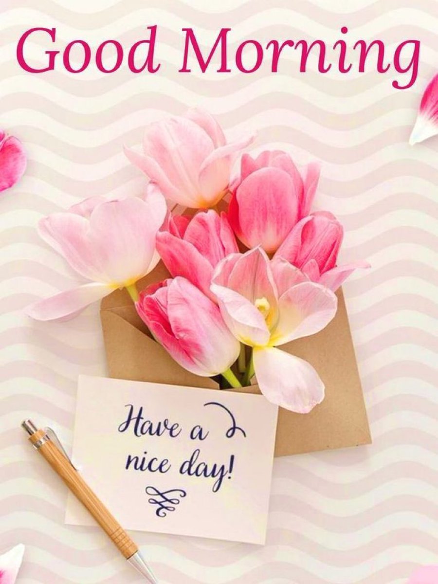 𝓜𝓸𝓷𝓲𝓼𝓱𝓪 ❤️ tweet media
